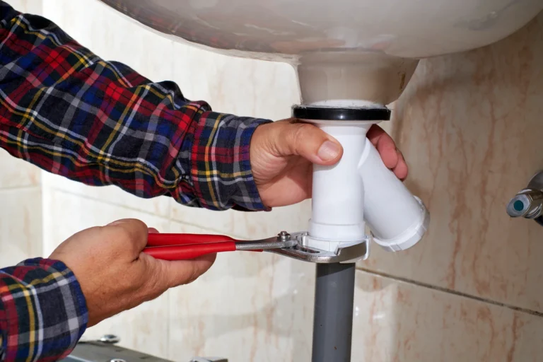 orlando-cat-home-services-12923