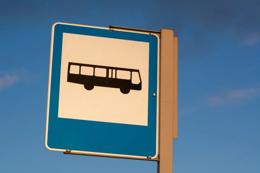 orlando-cat-transportation-12927